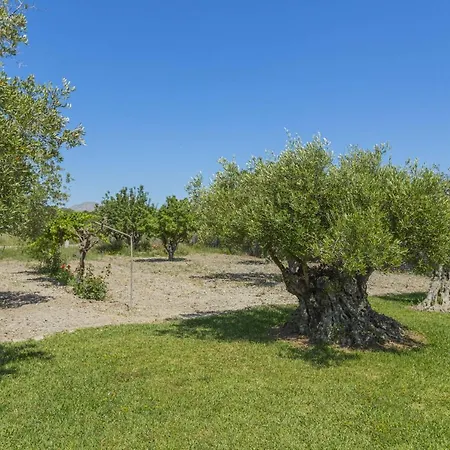 Segue Villa Alcudia (Mallorca)