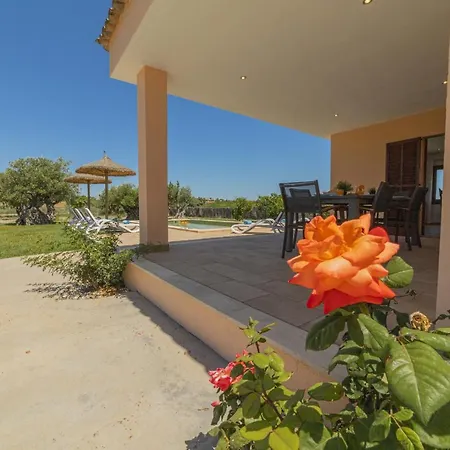 Segue Villa Alcudia (Mallorca)